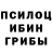 Галлюциногенные грибы MAGIC MUSHROOMS Wayne U